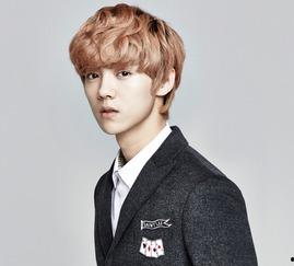 鹿晗娱乐吃瓜,幕后故事与精彩瞬间