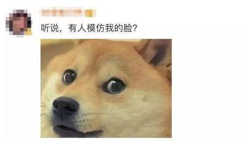 微信吃瓜表情包的使用场景怎么弄,社交场上的趣味观察镜