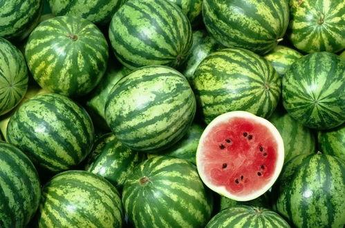 吃瓜娱乐间的作品有哪些,盘点热门作品的精彩瞬间