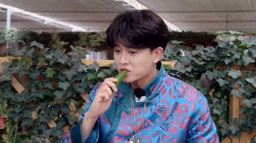 娱乐吃瓜刘宇宁视频大全